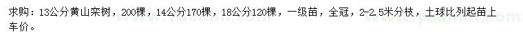 求購13、14、18公分黃山欒樹