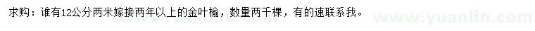 求購12公分金葉榆