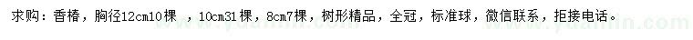 求購胸徑8、10、12公分香椿