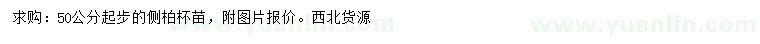 求購(gòu)高50公分以上側(cè)柏