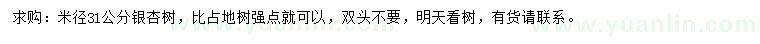 求購米徑31公分銀杏樹
