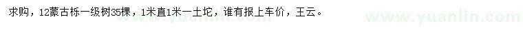 求購12公分蒙古櫟