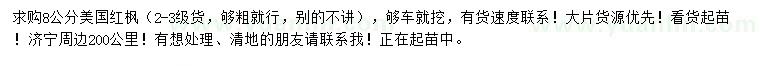求購8公分美國紅楓