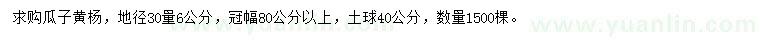 求購地徑30量6公分瓜子黃楊