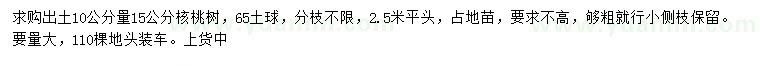 求購10公分量15公分核桃樹