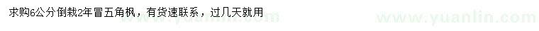 求購6公分五角楓