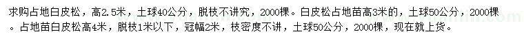 求購高2.5、3、4米白皮松