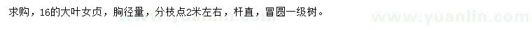求購(gòu)16公分大葉女貞