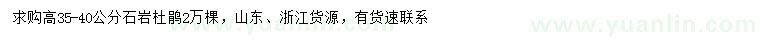 求購高35-40公分石巖杜鵑