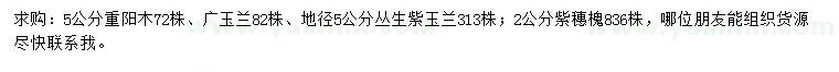 求購(gòu)重陽(yáng)木、廣玉蘭、紫玉蘭等
