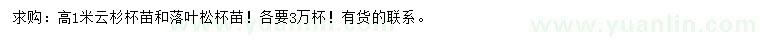 求購高1米云杉、落葉松