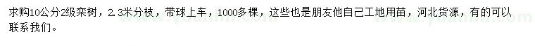 求購10公分欒樹