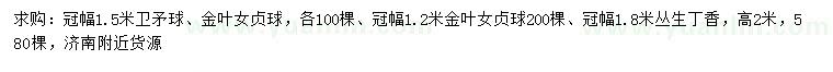 求購衛(wèi)矛球、金葉女貞球、叢生丁香