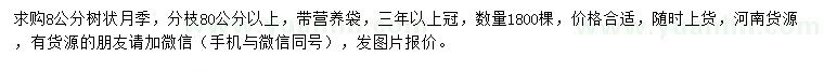 求購8公分樹狀月季