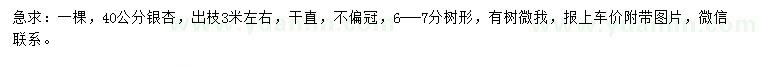 求購40公分銀杏