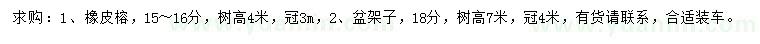 求購15-16公分橡皮榕、18公分盆架子