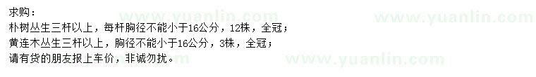 求購(gòu)三桿以上叢生樸樹(shù)、叢生黃連木