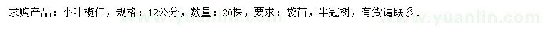 求購12公分小葉欖仁