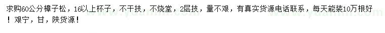 求購60公分樟子松