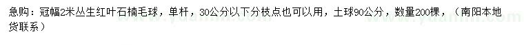 求購冠幅2米紅葉石楠球