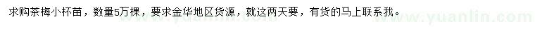 求購茶梅小杯苗