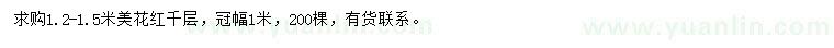 求購(gòu)1.2-1.5米美花紅千層