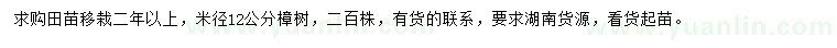 求購米徑12公分樟樹