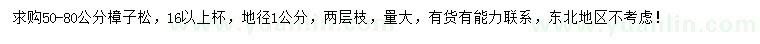 求購50-80公分樟子松