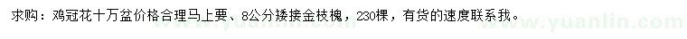 求購雞冠花、8公分金枝槐