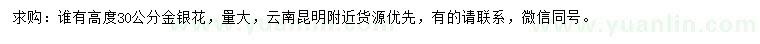 求購高30公分金銀花