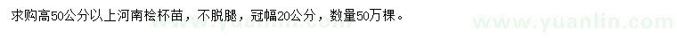 求購高50公分以上河南檜