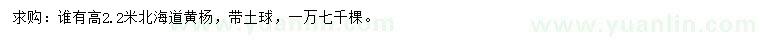 求購(gòu)高2.2米北海道黃楊
