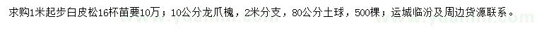 求購1米起白皮松、10公分龍爪槐