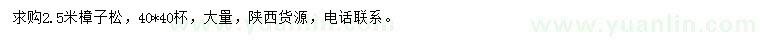求購(gòu)2.5米樟子松