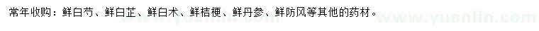 求購(gòu)鮮白芍、鮮白芷、鮮白術(shù)等