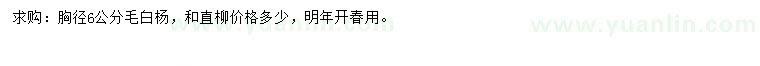 求購胸徑6公分毛白楊、直柳