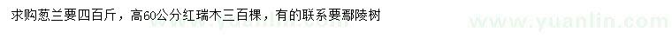 求購蔥蘭、高60公分紅瑞木