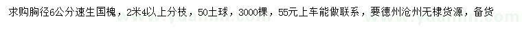 求購胸徑6公分速生國槐