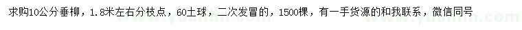 求購(gòu)10公分垂柳