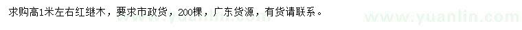 求購高1米左右紅繼木