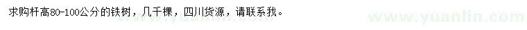 求購桿高80-100公分鐵樹