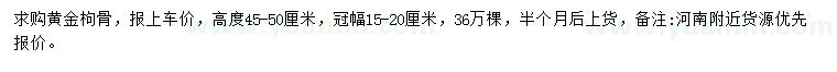 求購高45-50公分黃金枸骨