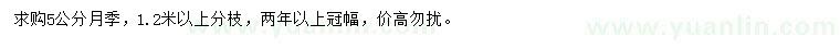 求購5公分月季