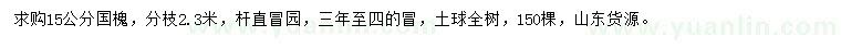 求購15公分國槐