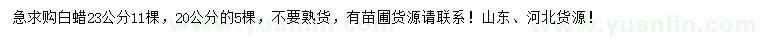 求購20、23公分白蠟