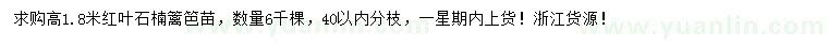 求購高1.8米紅葉石楠