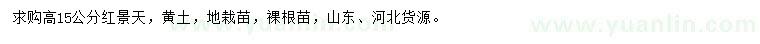 求購(gòu)高15公分紅景天