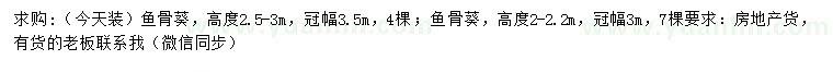 求購(gòu)高2-2.2、2.5-3米魚骨葵
