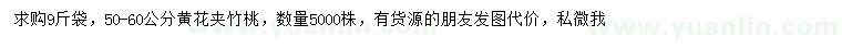 求購50-60公分黃花夾竹桃