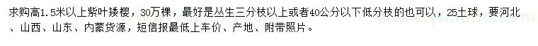 求購(gòu)高1.5米以上紫葉矮櫻